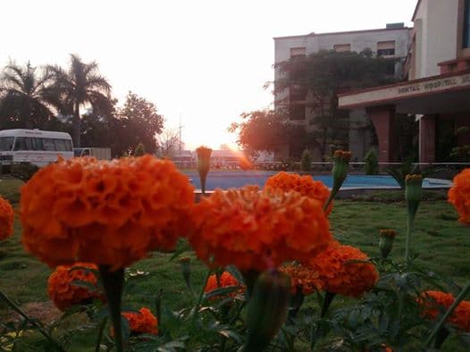 Chhattisgarh Dental College and Research Institute Rajnandgaon campus photo 3